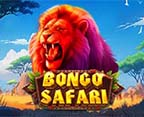 Bongo Safari